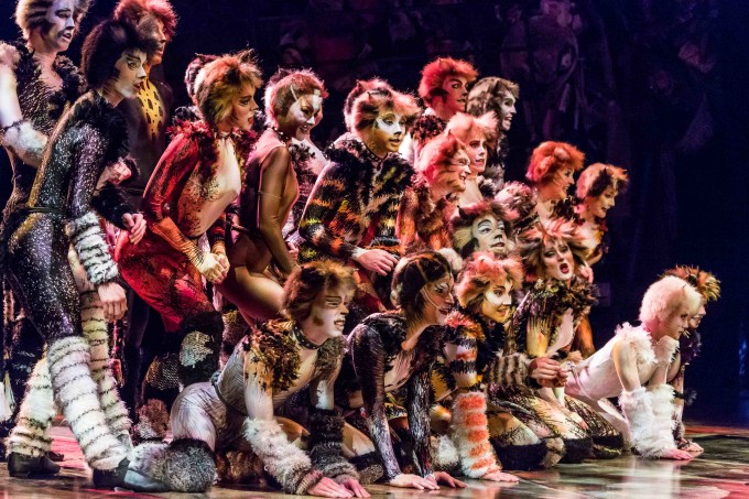 CATS - The Musical, Ronacher, Schedule & Tickets