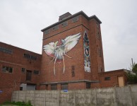 HASSELT GRAFFITI