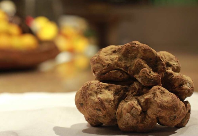 Truffle it up at Umai!